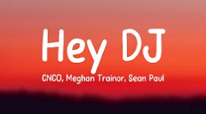 Hey DJ (Remix)