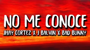 No Me Conoce (Remix)