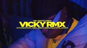 Vicky (Remix)