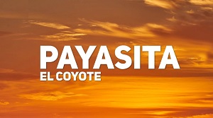 Payasita