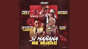 Si Mañana Me Muero Remix