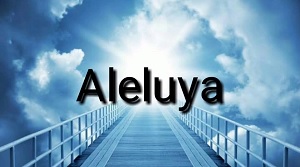 Aleluya