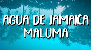 Agua de Jamaica