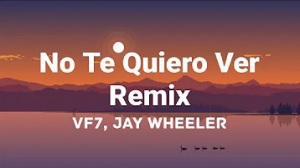 No Te Quiero Ver (Remix)