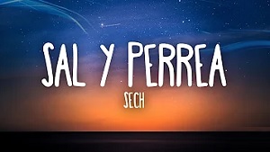 Sal y Perrea