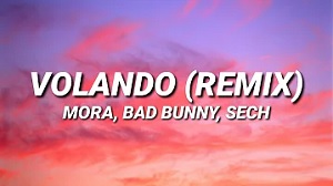 Volando (Remix)