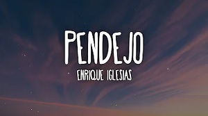 PENDEJO